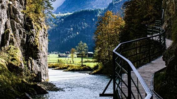 Regionales-Ostschweiz Ausflugtipp: Aareschlucht