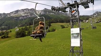 Wo Murmeltiere Sesselbahn fahren! Gemächlich schwebt man mit der Sesselbahn von Amden hinauf zur Walau am Mattstockfuss. Oben angekommen, warten schöne Wanderwege, fantastische Aussichten und gemütliche Einkehrmöglichkeiten – und mit etwas Glück begegnet man sogar einem Murmeltier.