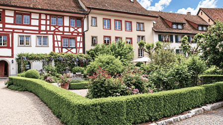Historische Fachwerkhäuser mit rot-weissen Fassaden und gepflegtem Blumengarten in der Altstadt von Regensberg im Kanton Zürich.