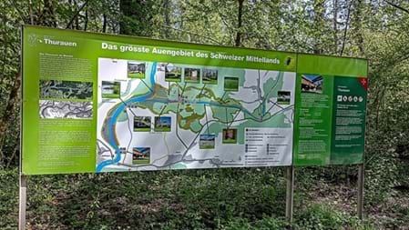 Thurauen Zwischen der Thur und dem Rhein führen Wege durch Auenwälder, Wiesen und kleine Wasserläufe. Wer langsam unterwegs ist, entdeckt vielleicht Vögel, Frösche oder andere Tiere am Wegesrand. Besonders schön ist es, einfach loszulaufen, zwischendurch eine Pause am Wasser zu machen und die Ruhe zu geniessen. Ein wunderbarer Ort für einen Spaziergang mit der Familie.