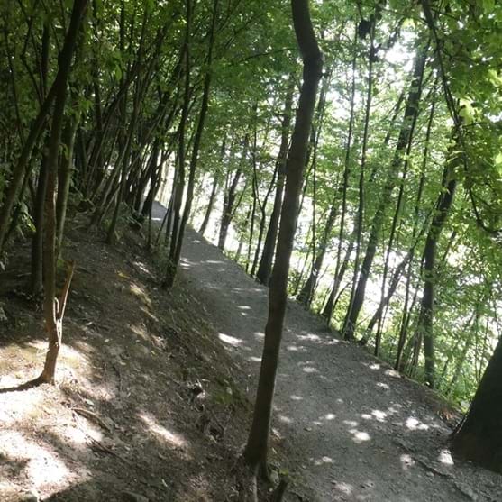 Hohle Gasse - Nebenweg rollstuhlgängig