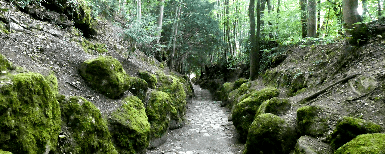 Schweizer Geschichte zum Anfassen Die Hohle Gasse ist mehr als ein historischer Weg. Sie ist einer jener Orte, an denen eine bekannte Schweizer Geschichte unmittelbar erlebbar wird. Zwischen Steinmauern, Bäumen und der kleinen Tellskapelle lässt sich nachvollziehen, weshalb dieser Ort bis heute mit der Legende von Wilhelm Tell verbunden ist.