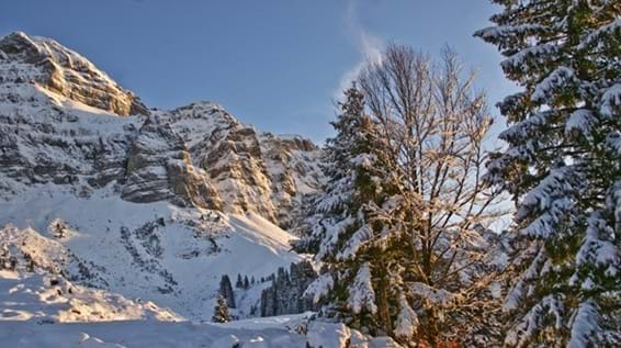 Ausflugstipp: Schwägalp AR