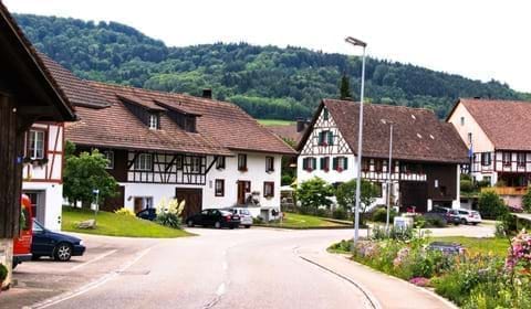 regionales-ostschweiz.ch - Berg am Irchel
