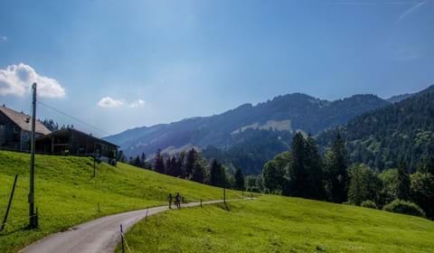 regionales-ostschweiz.ch - Leuenfall, Appenzell