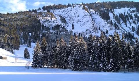 regionales-ostschweiz.ch - Schwendiseen im Winter