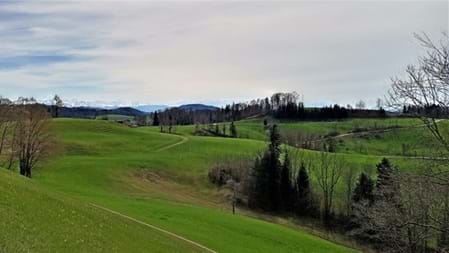 Zürich Oberland Höhenweg Auf dem Höhenweg durch das Zürcher Oberland geht es über Wiesen, durch Wälder und vorbei an kleinen Dörfern. Immer wieder öffnen sich schöne Ausblicke auf die Hügel und Berge der Umgebung. Je nach Lust und Zeit lässt sich eine längere Wanderung unternehmen oder nur ein Teilstück erkunden. Ein schöner Weg, um das Zürcher Oberland ganz in Ruhe zu entdecken und dabei immer wieder neue Ausblicke zu erleben.